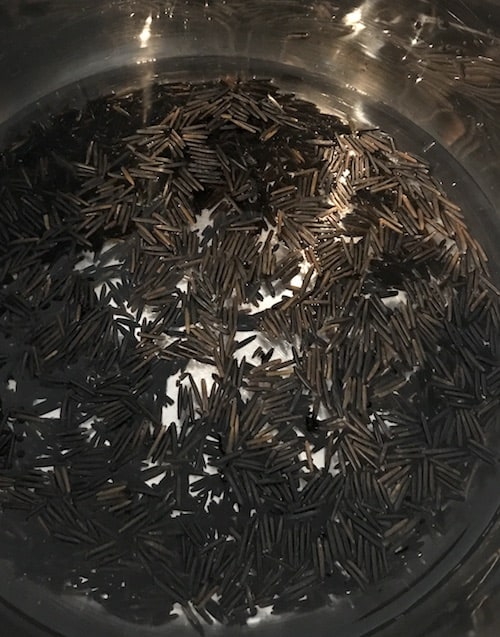 Wild rice before cooking in the Instant Pot