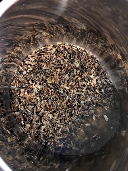 Wild rice after cooking in the Instant Pot. The extra liquid needs to be drained out.